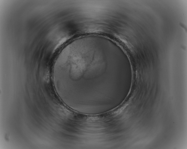 X0000097491306200803071730