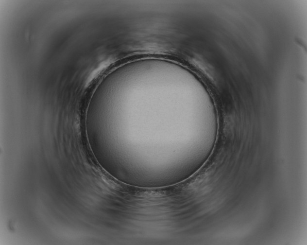 X0000097491307200803071730