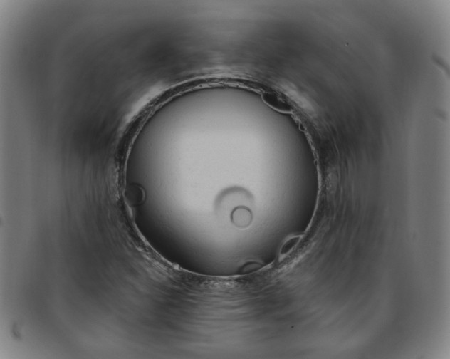 X0000097491310200803071730