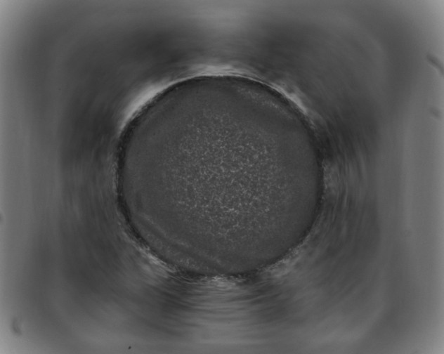 X0000097491311200803071730