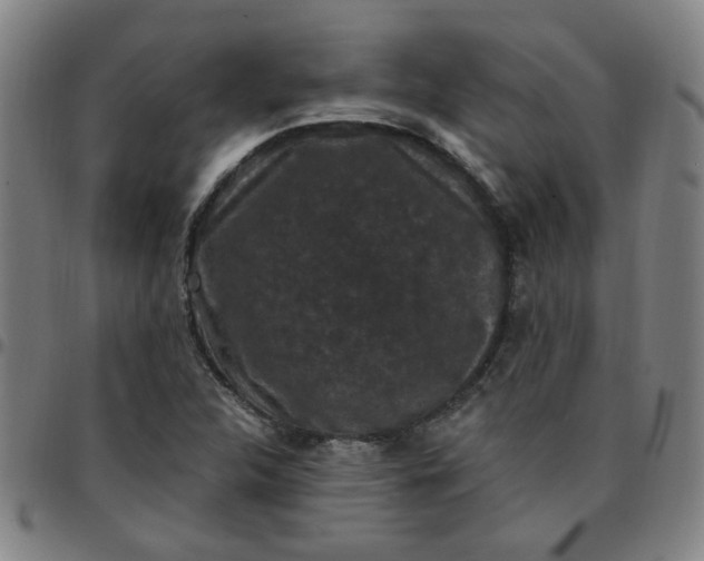 X0000097491312200803071730