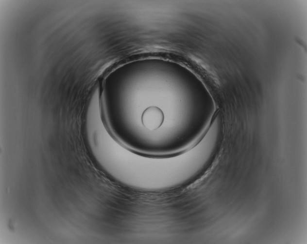 X0000097491313200803071730