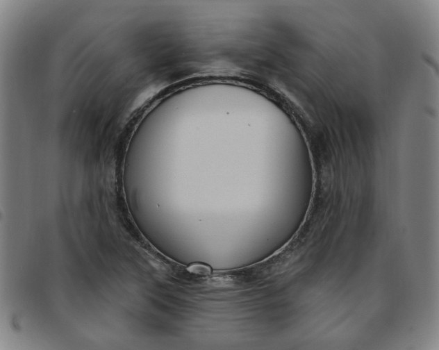 X0000097491315200803071730