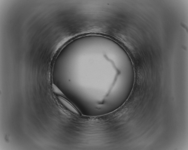 X0000097491316200803071730