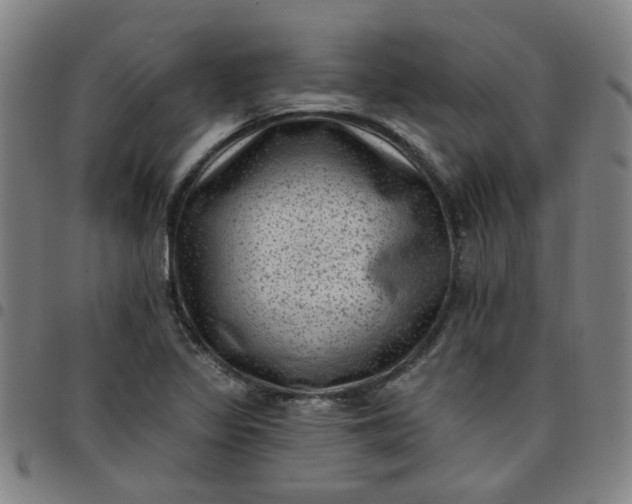 X0000097491317200803071730