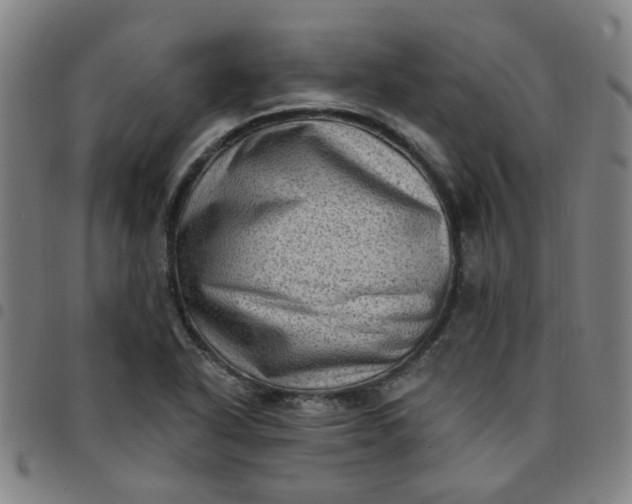 X0000097491318200803071730