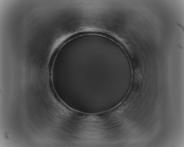 X0000097491319200803071730