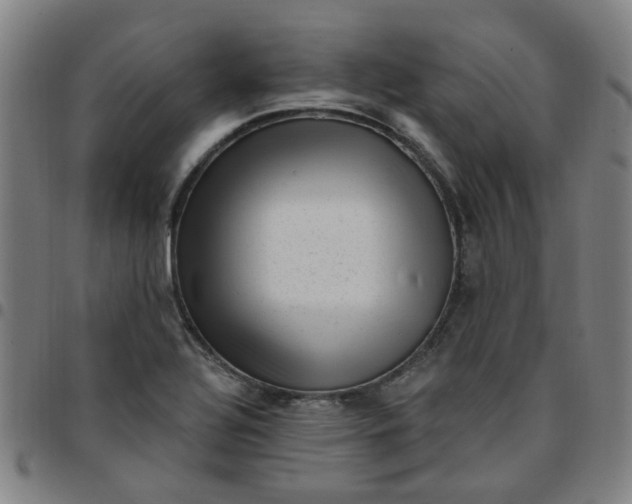 X0000097491320200803071730