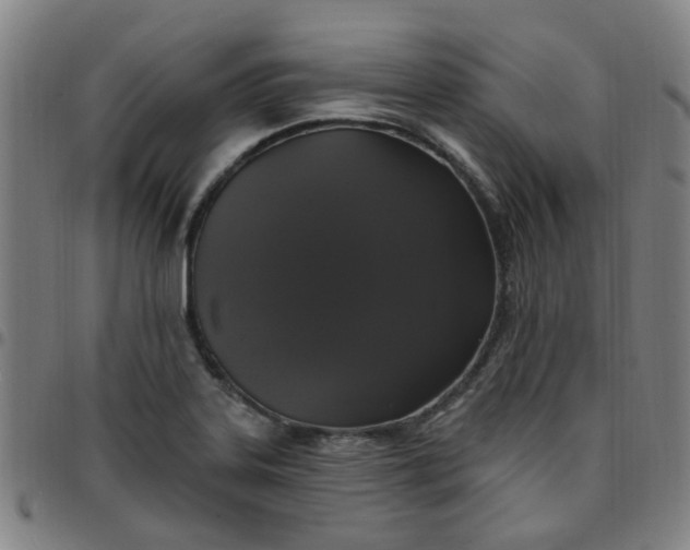 X0000097491323200803071730