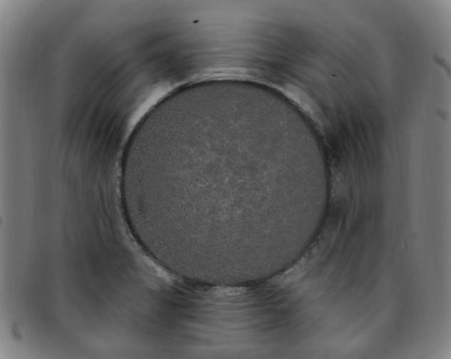 X0000097491325200803071730