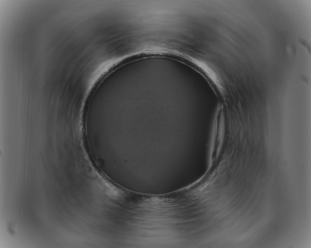 X0000097491327200803071730