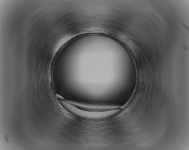 X0000097491328200803071730