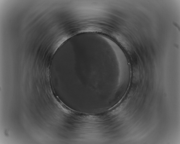 X0000097491329200803071730