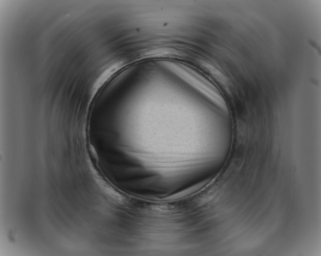 X0000097491330200803071730