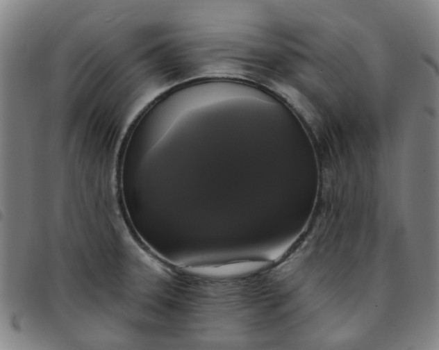 X0000097491331200803071731