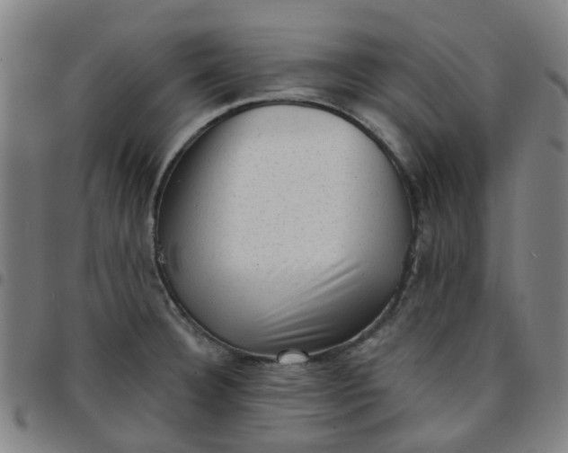 X0000097491332200803071731