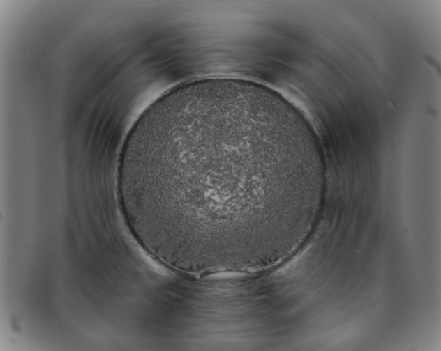 X0000097491333200803071731