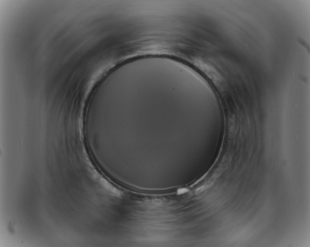 X0000097491334200803071731