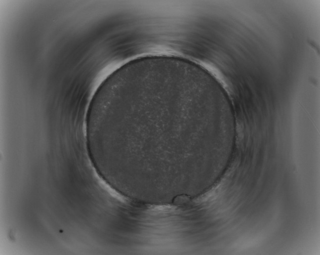 X0000097491335200803071731