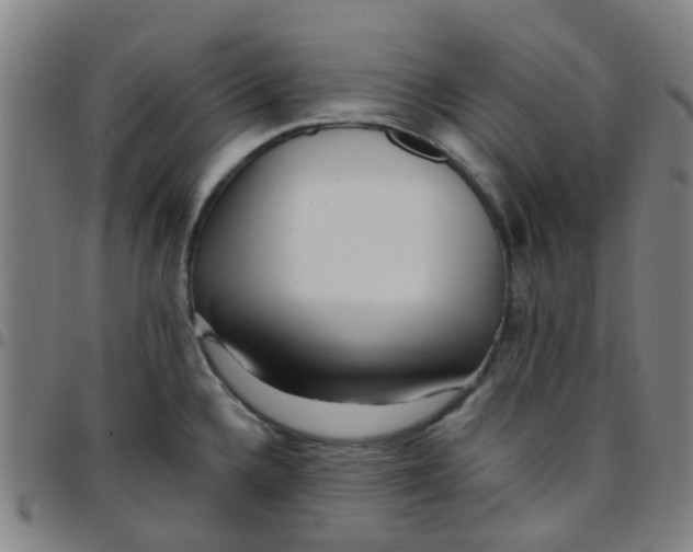 X0000097491336200803071731