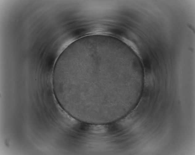 X0000097491338200803071731