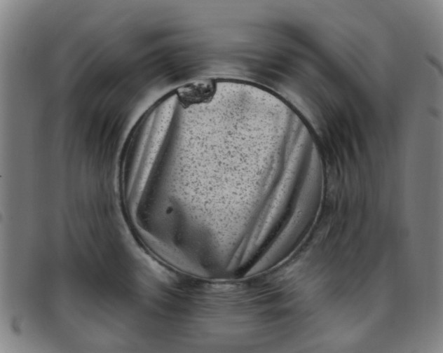 X0000097491339200803071731