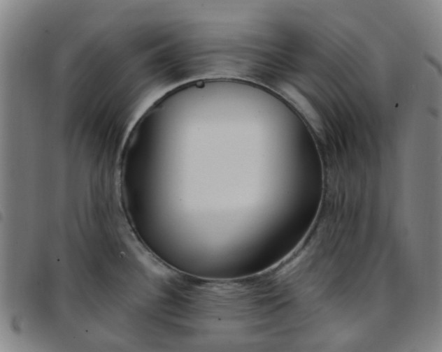 X0000097491340200803071731