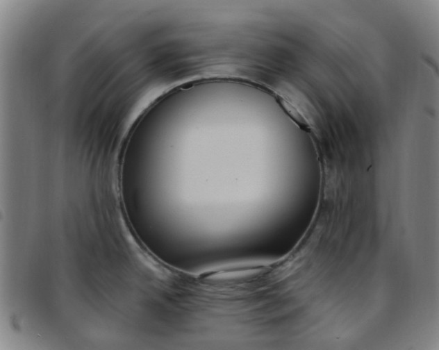 X0000097491342200803071731