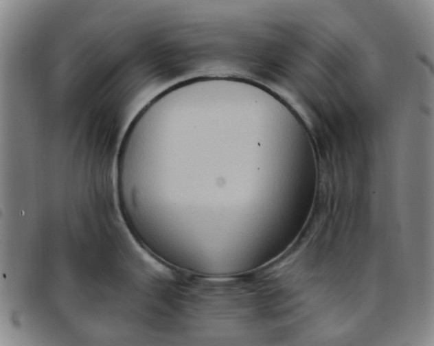 X0000097491343200803071731