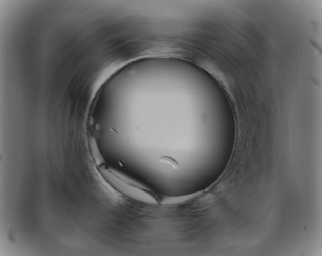 X0000097491344200803071731