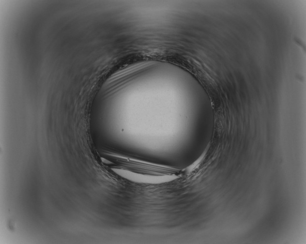 X0000097491345200803071730