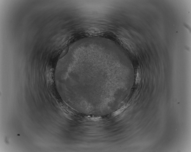 X0000097491346200803071730