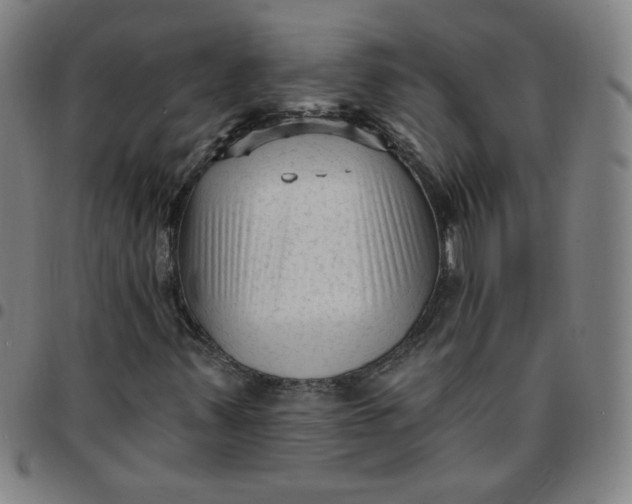 X0000097491347200803071730