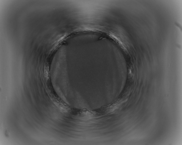 X0000097491348200803071730