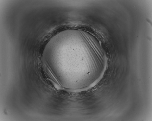 X0000097491349200803071730