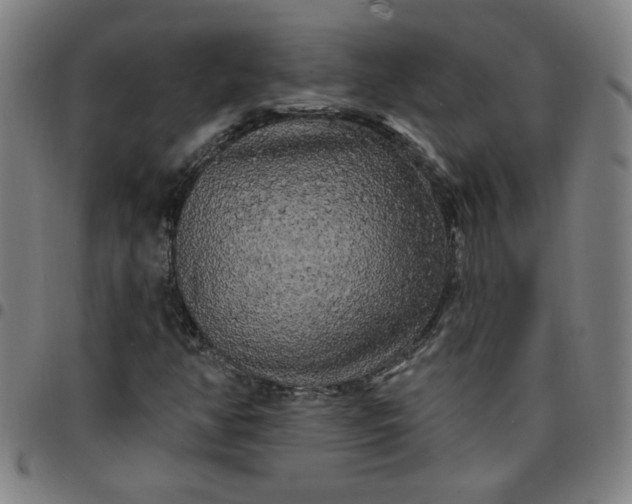 X0000097491350200803071730