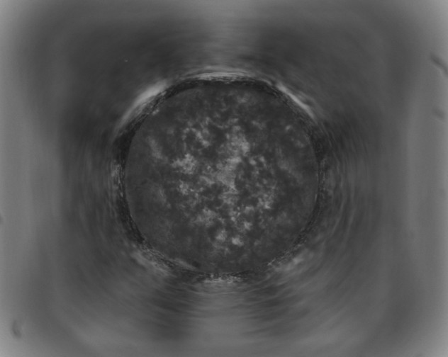 X0000097491351200803071730