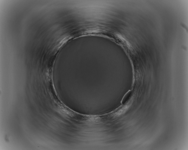 X0000097491353200803071730