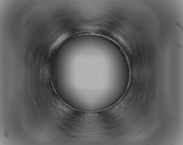 X0000097491354200803071730