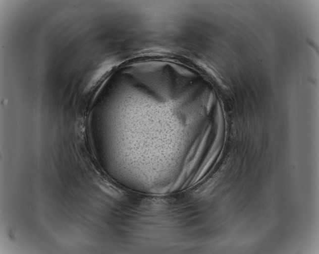 X0000097491355200803071730