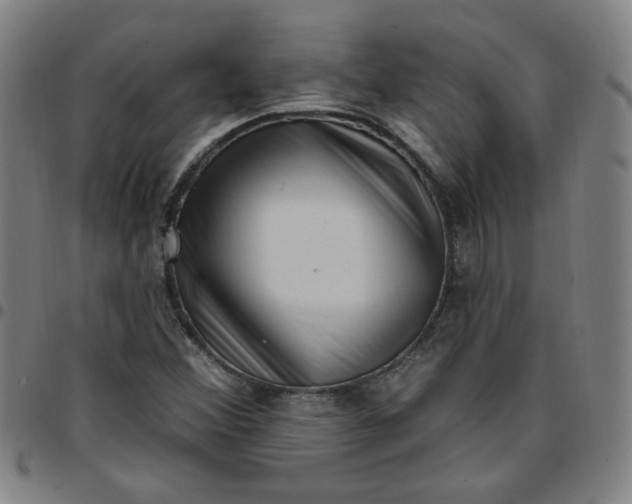 X0000097491356200803071730