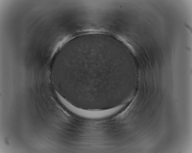 X0000097491357200803071730