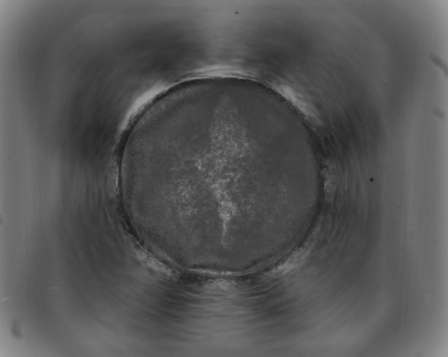 X0000097491358200803071730