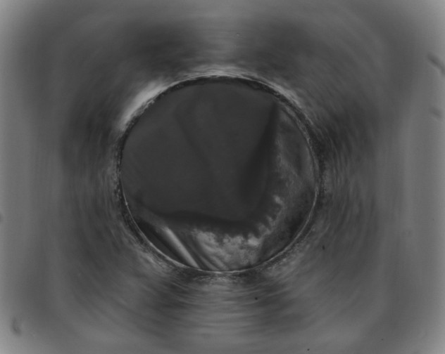 X0000097491359200803071730