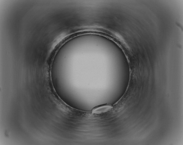 X0000097491360200803071730