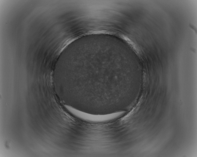 X0000097491361200803071730