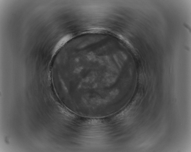 X0000097491362200803071730