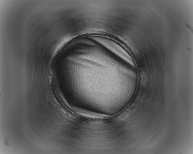 X0000097491363200803071730