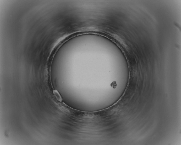 X0000097491364200803071730