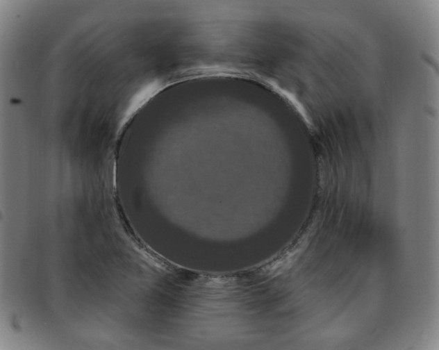 X0000097491365200803071730